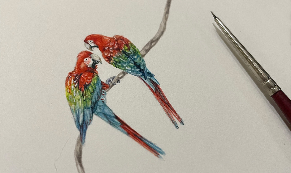 Paintings For Hummingbirds